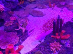 -沈阳海洋探索中心