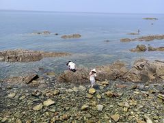 -养马岛旅游度假区