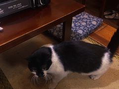 -樱の花亭日本料理店