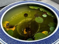 -长春观