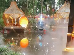 -二荆条·蜀鲜汇城市森林火锅