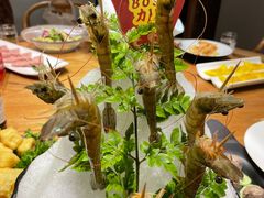 -尚海豆捞(乐虹坊店)