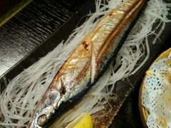 -春草居酒屋·晴子の店