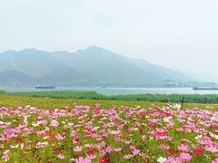 -羚羊峡古栈道森林公园