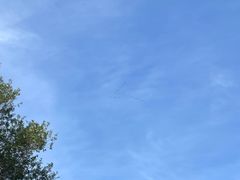 -原山国家森林公园