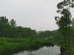 -西湖风景区-江洋畈生态公园