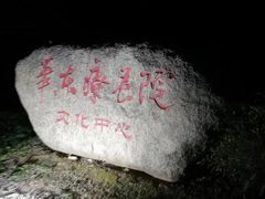 -上海市保健医疗中心(华东疗养院)