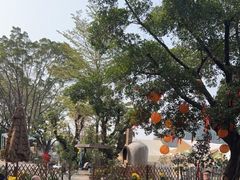 -长洲岛都市农业公园