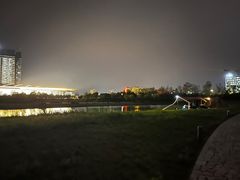 -春花秋色城市公园