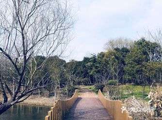 这条大道也太漂亮吧  开车行驶路过的大道，妈妈呀