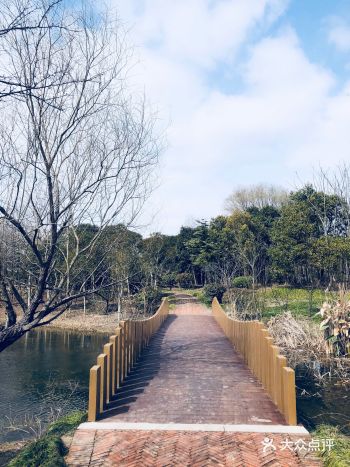 这条大道也太漂亮吧  开车行驶路过的大道，妈妈呀