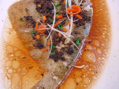 豉汁蒸多宝鱼-大树餐厅(红旗街万达店)