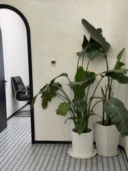 -唐风采假发补发定制