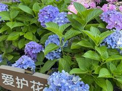 -嘉北郊野公园