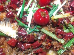 -老板恋上鱼(恒隆广场店)