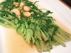 -绿茶餐厅(广州天河城店)