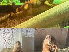 -海合安武汉极地海洋公园