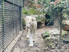 -杭州动物园
