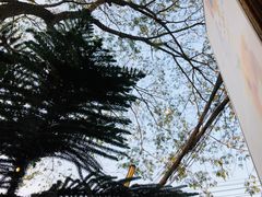 -Cheevit Cheeva(Sirimangkalajarn)