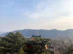 -普陀宗乘之庙