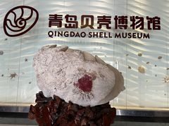 -青岛贝壳博物馆
