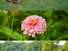 -海珠湖公园