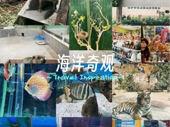 -荆州中山公园动物园