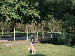 -武吉知马自然保护区