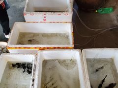 -陈岱后山窑鸡店