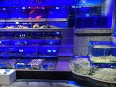 -青蓬蒸汽海鲜·深圳老字号·团建聚会(壹方城店)