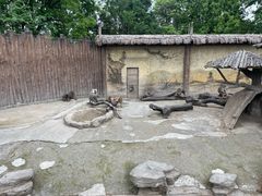 -上海野生动物园
