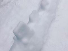 -Mr·Kuma酷么先生雪之乐园