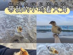 -南戴河旅游度假区