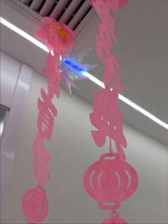 -时光畔·酷雪·痘肌
