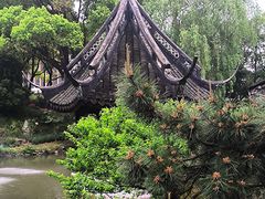 -上海醉白池公园