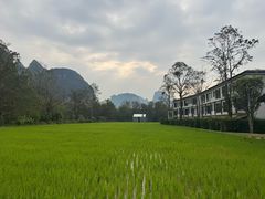 -明仕田园
