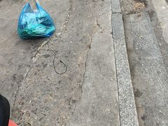 -肖娭毑老面馆(自然岭路店)