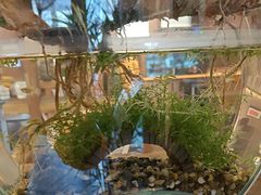-巴卤社老火锅(财富店)