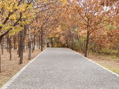 -长春世界雕塑园冰雪艺术天地