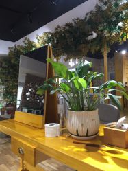 -明洞造型精品烫染