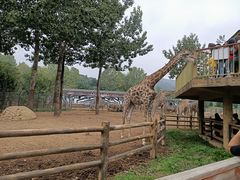 -大连森林动物园