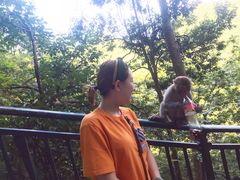 -黔灵山公园-南门售票处