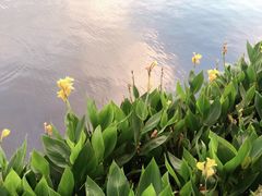 -月湖公园