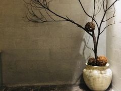 -东吴水韵(吴中店)