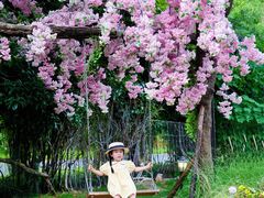 -HERRE·FARM 赫尔露营农场·团建聚会包场