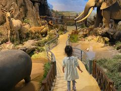 -陕西自然博物馆