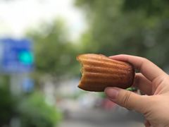 玛德琳-麦田工坊(月湖店)