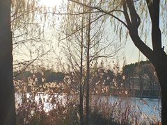 -扬州古运河