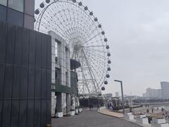 -琴岛之星摩天轮
