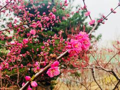 -大兴滨河森林公园